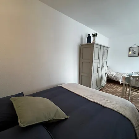 Apartmán Confortable Entre Centre-ville Et Thermes Avec Wifi - Fr-1-541-190 *