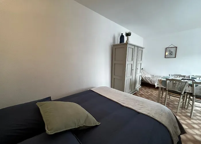 Apartmán Confortable Entre Centre-ville Et Thermes Avec Wifi - Fr-1-541-190 *